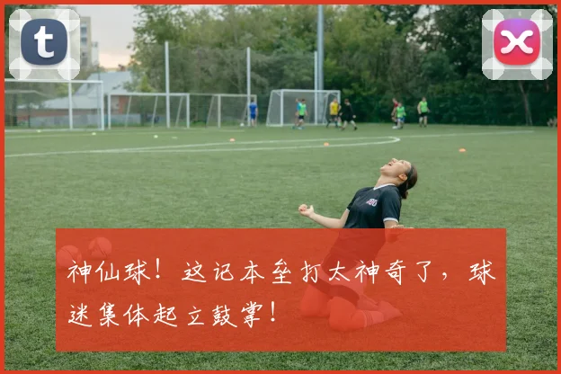 神仙球！这记本垒打太神奇了，球迷集体起立鼓掌！