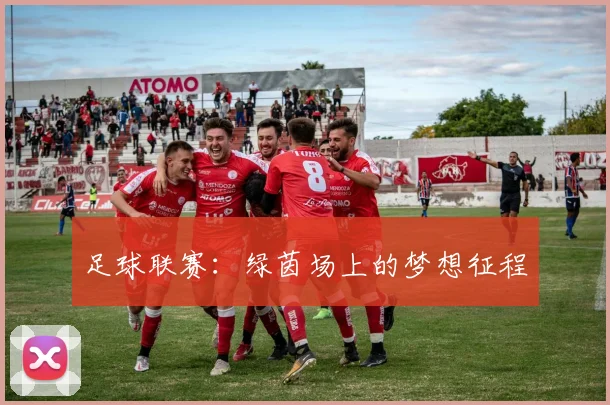 足球联赛:绿茵场上的梦想征程